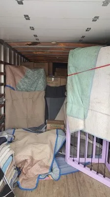 Island Moving photo 3