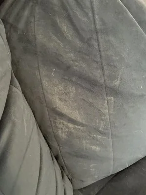 Black Belt Movers
